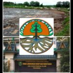 IMG-20251110-WA0092(1)